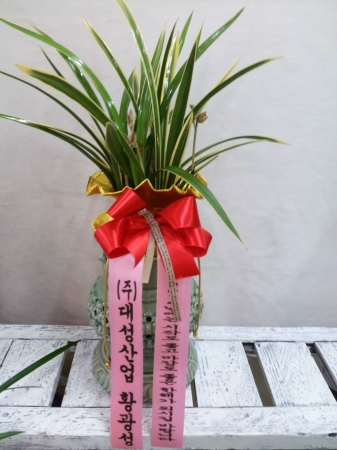 뼺