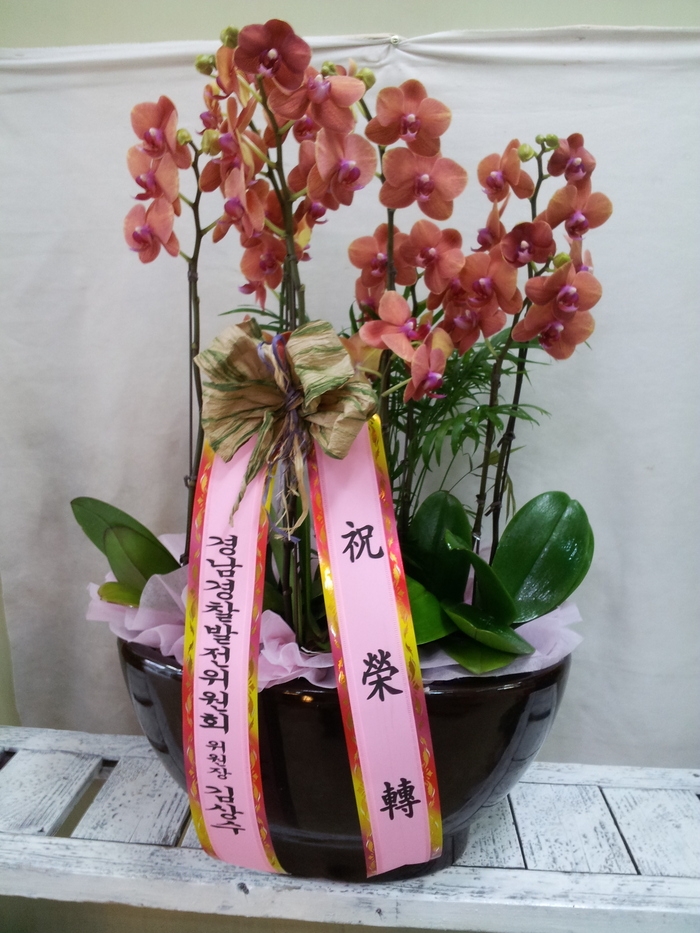 輺 