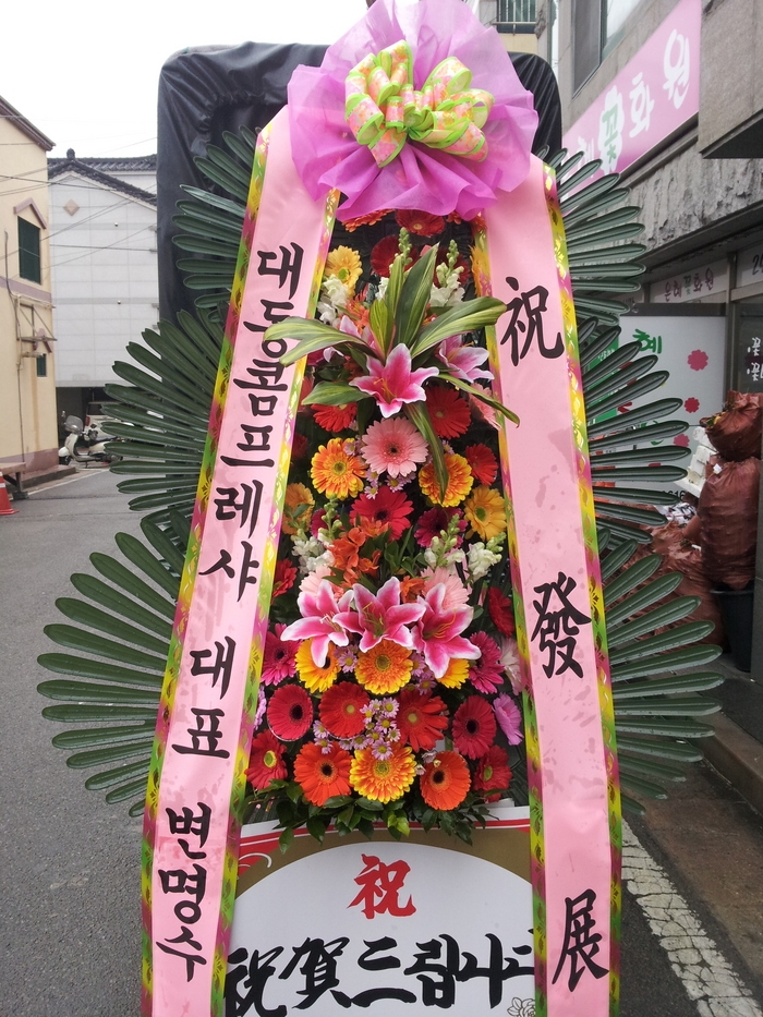 뵿Ǫ