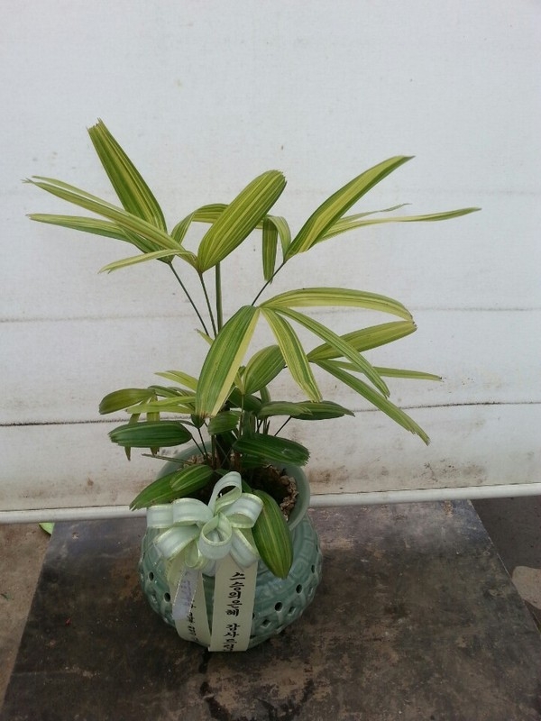 賲 