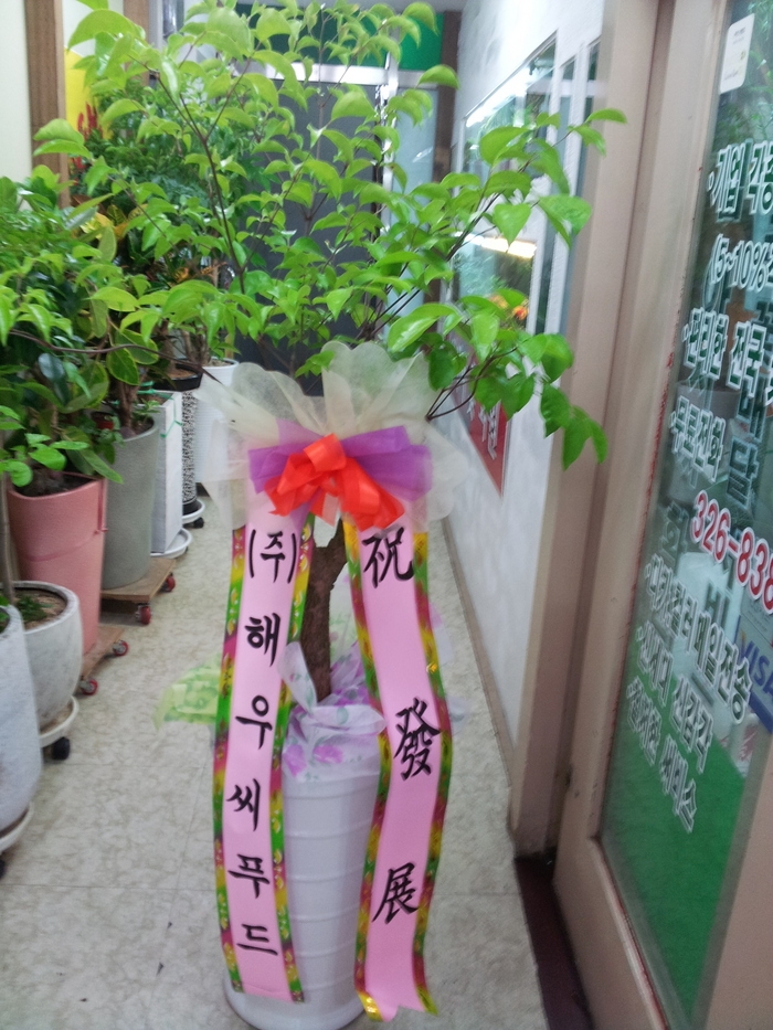 ؿ쾾Ǫ