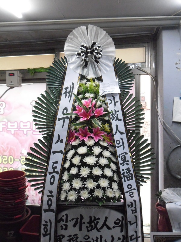콺ȣȸ