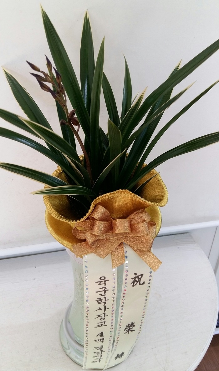 л屳