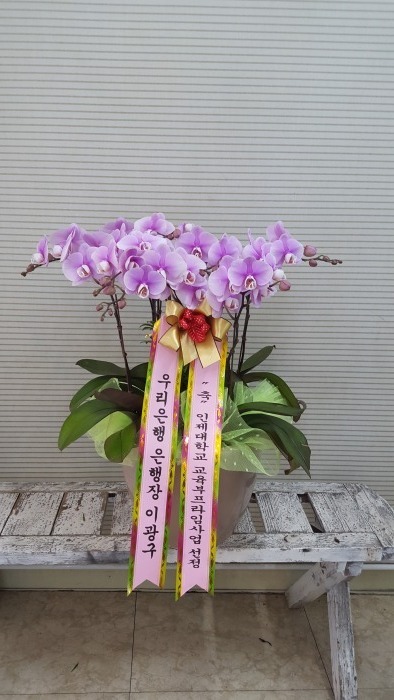 츮ֹԴϴ