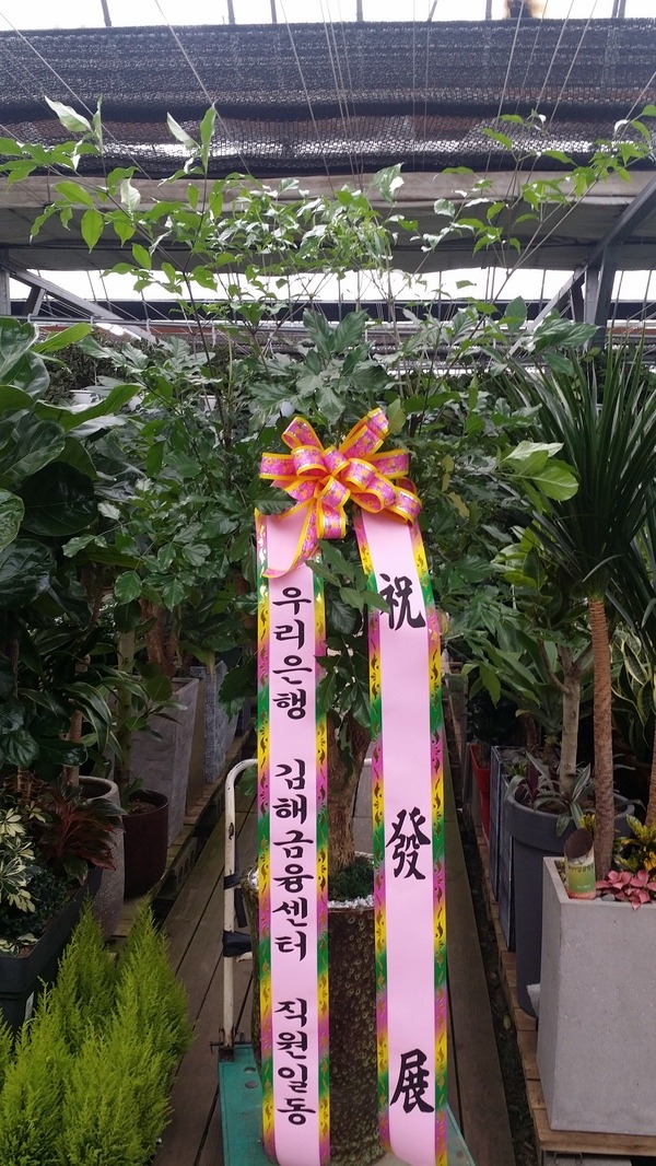 츮 ֹԴϴ