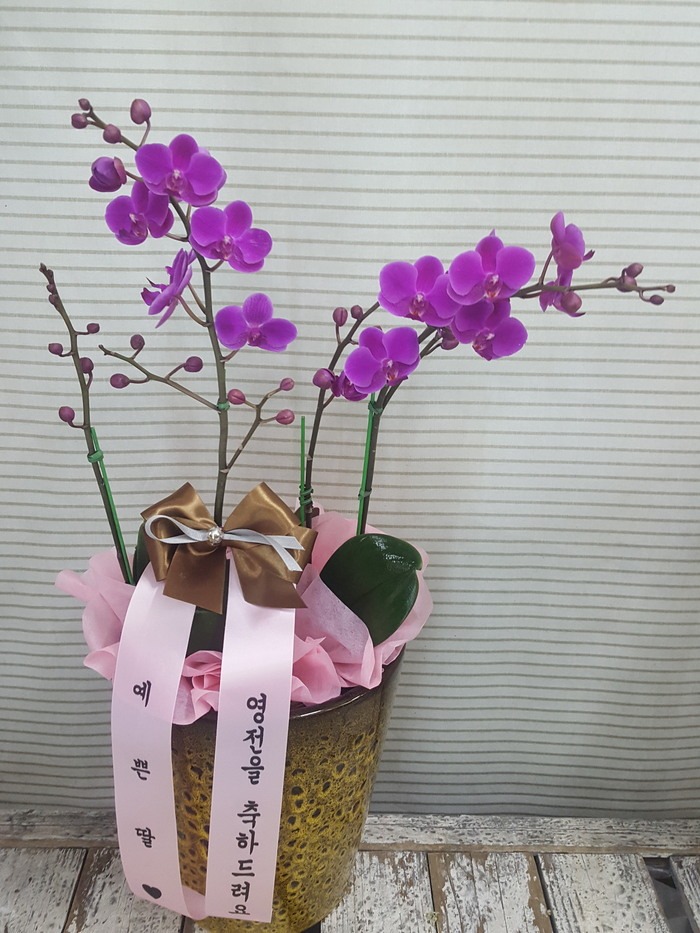 輱  ֹԴϴ