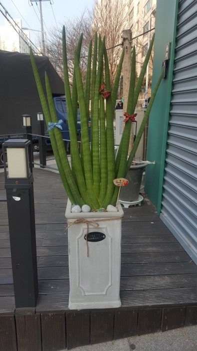 ڸ   ǹ۰Դϴ