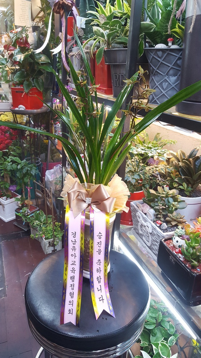 泲Ʊ  ֹԴϴ