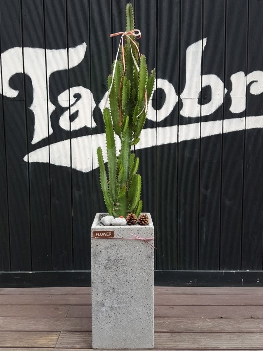 ֹ̰