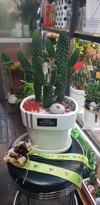 ¸¸̴ ֹԴϴ