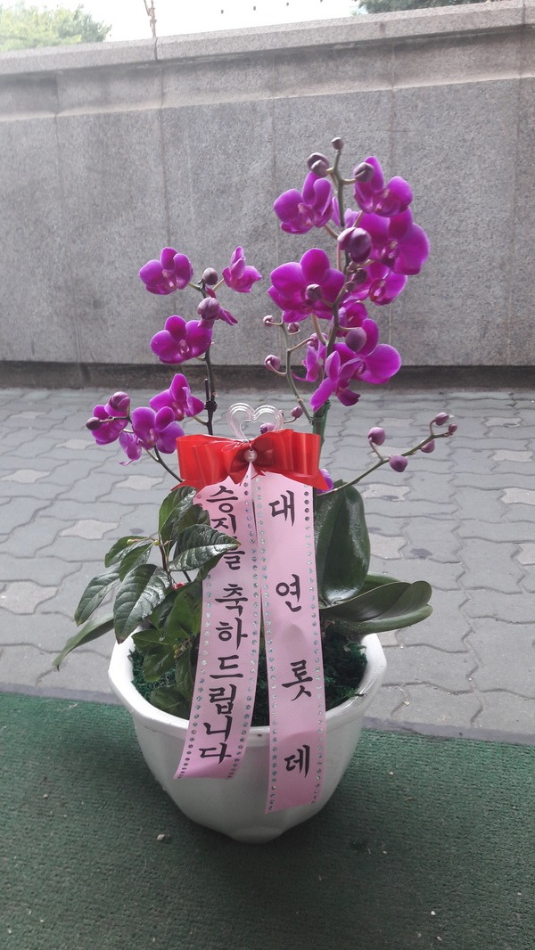 뿬Ե ֹԴϴ