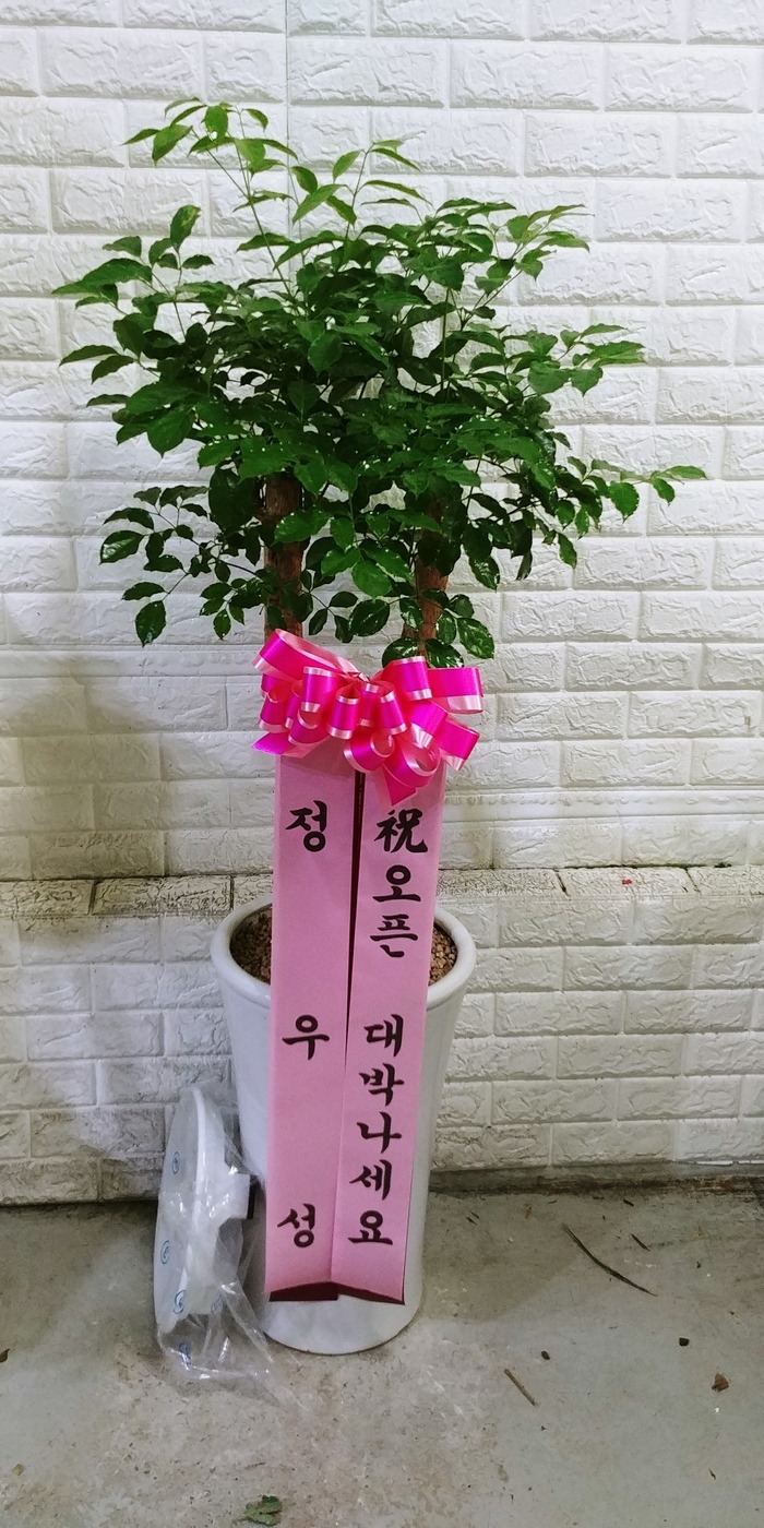 켺 ֹԴϴ