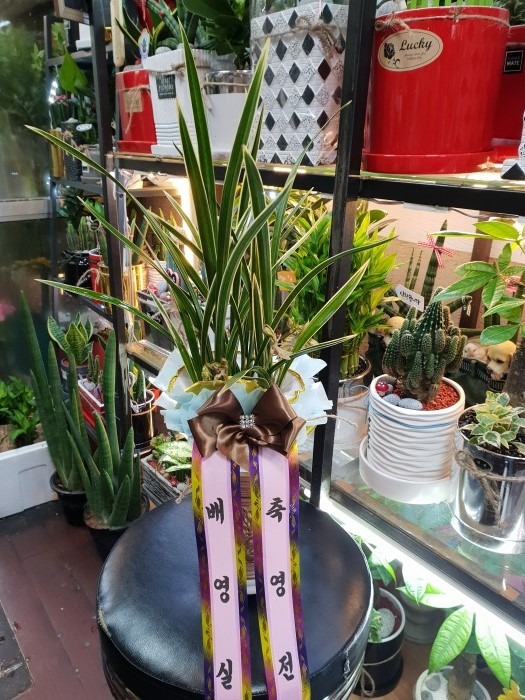 迵Ǵ ֹԴϴ
