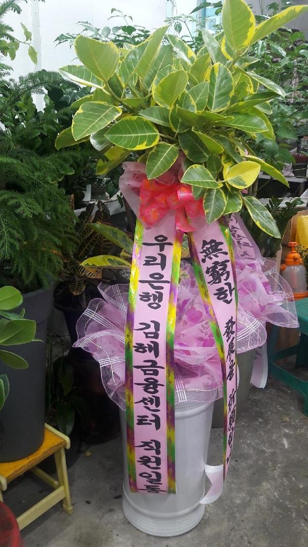 츮  ֹԴϴ