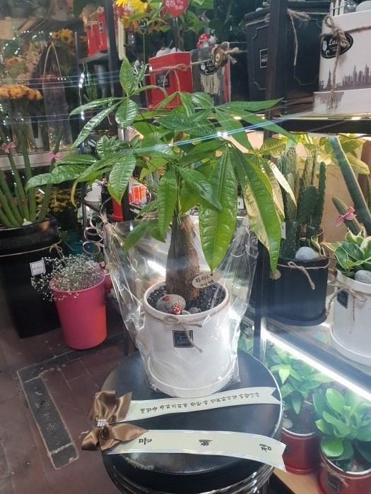    ֹԴϴ