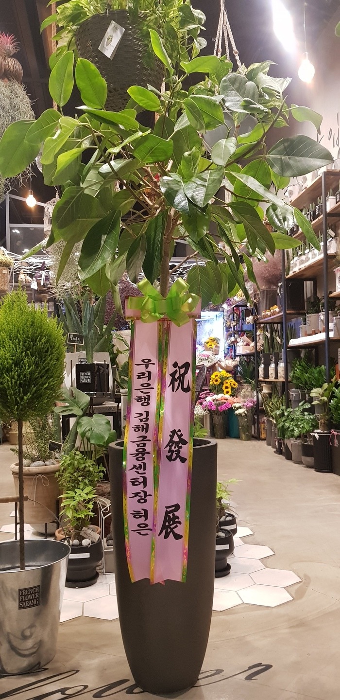 رʹ ۰Դϴ