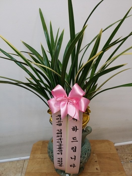 츮 ۰Դϴ