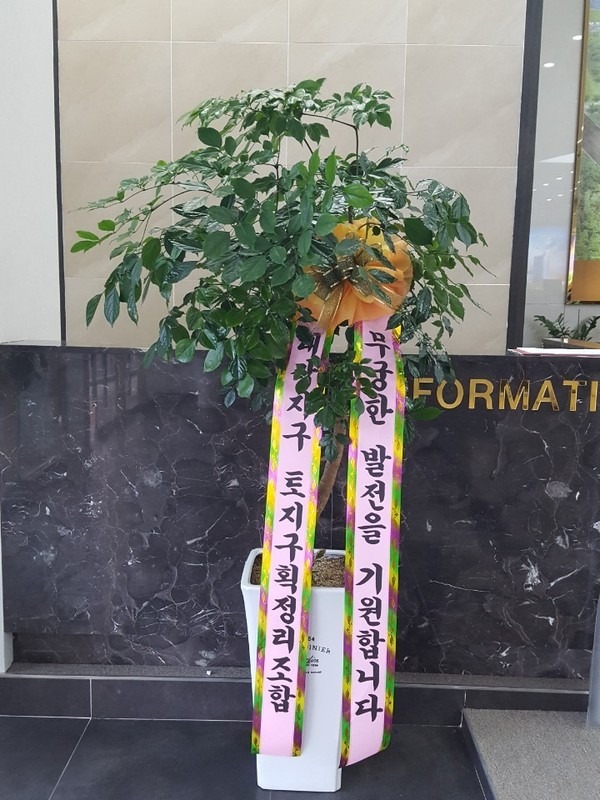 뷮 ۰Դϴ