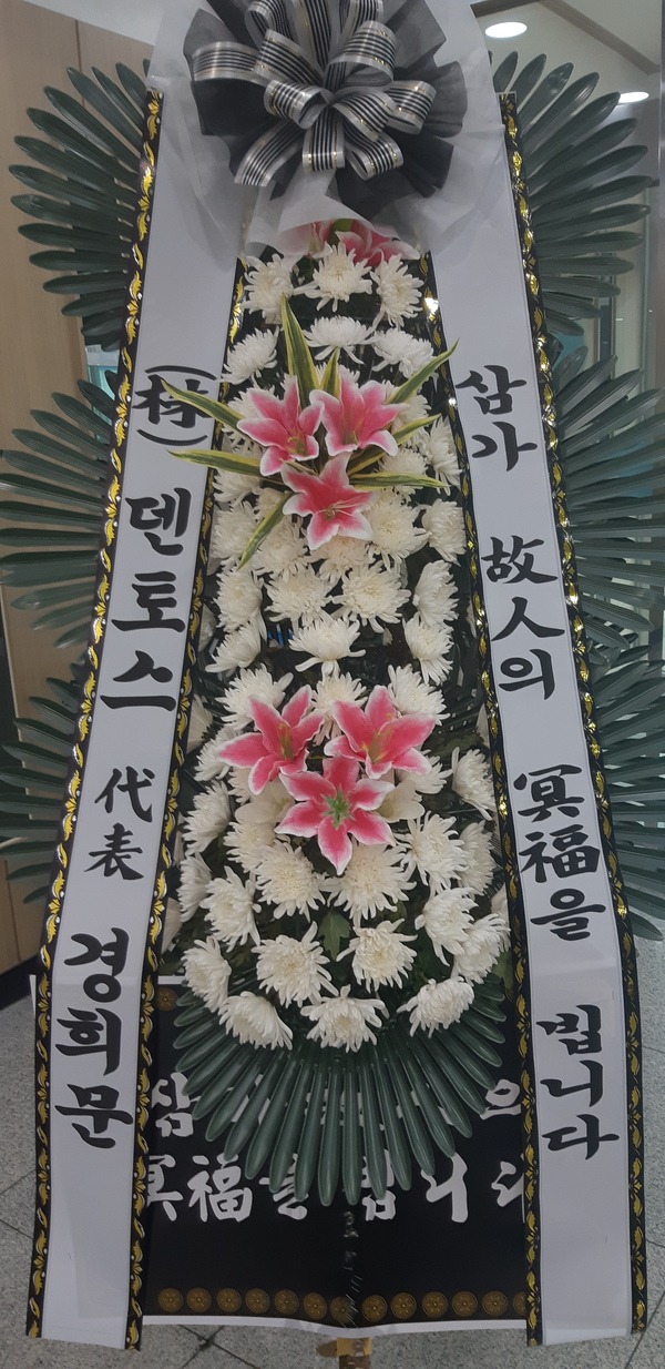 񹮴 ۰Դϴ