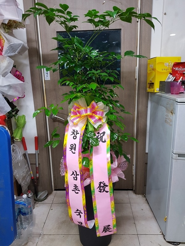 迵 ۰Դϴ
