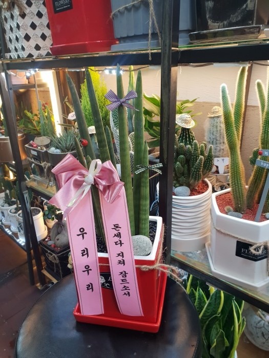 츮츮 ۰Դϴ