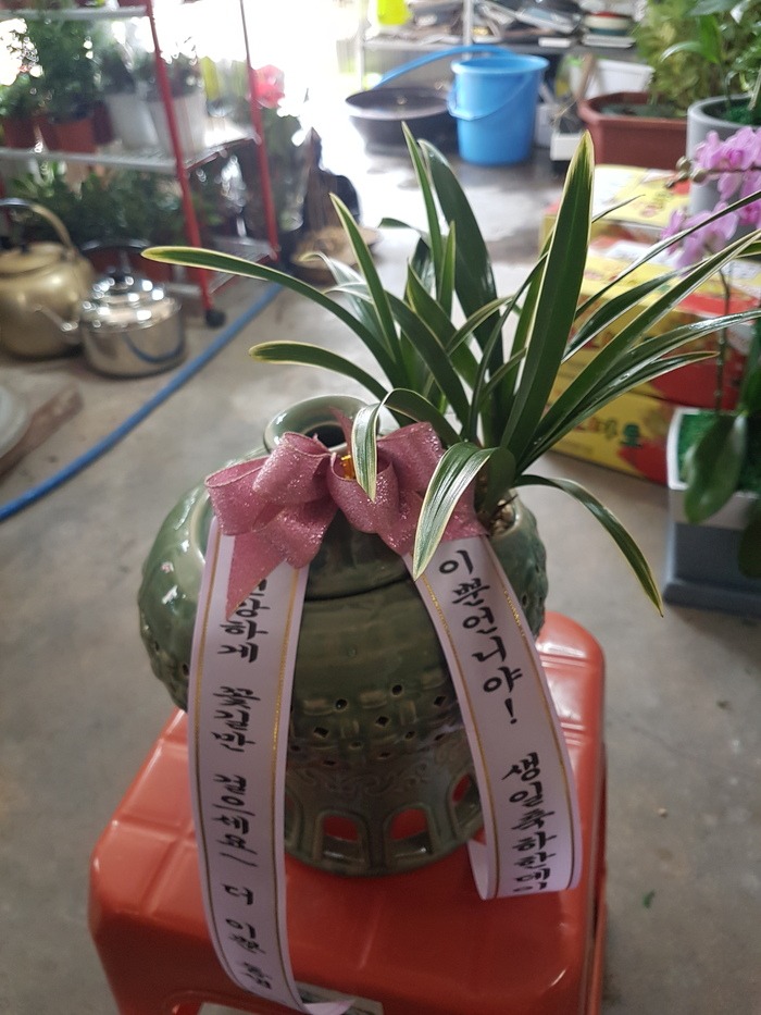 泲  ֹԴϴ