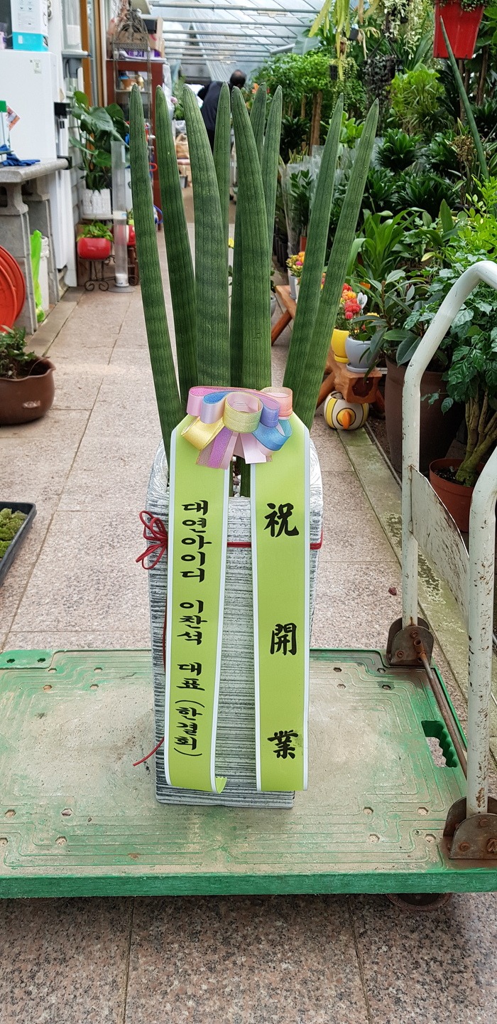 뿬̵  ֹԴϴ