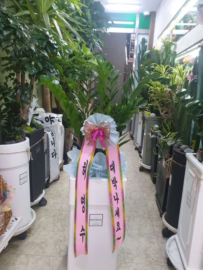 㿵  ۰Դϴ