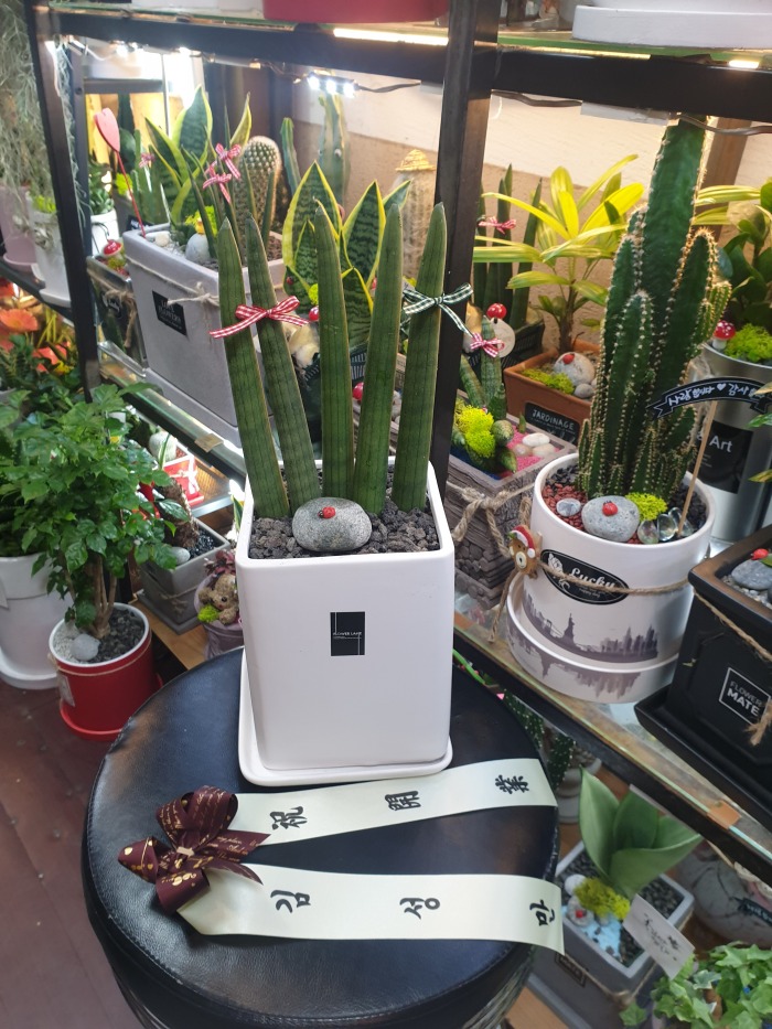 輺  ۰Դϴ