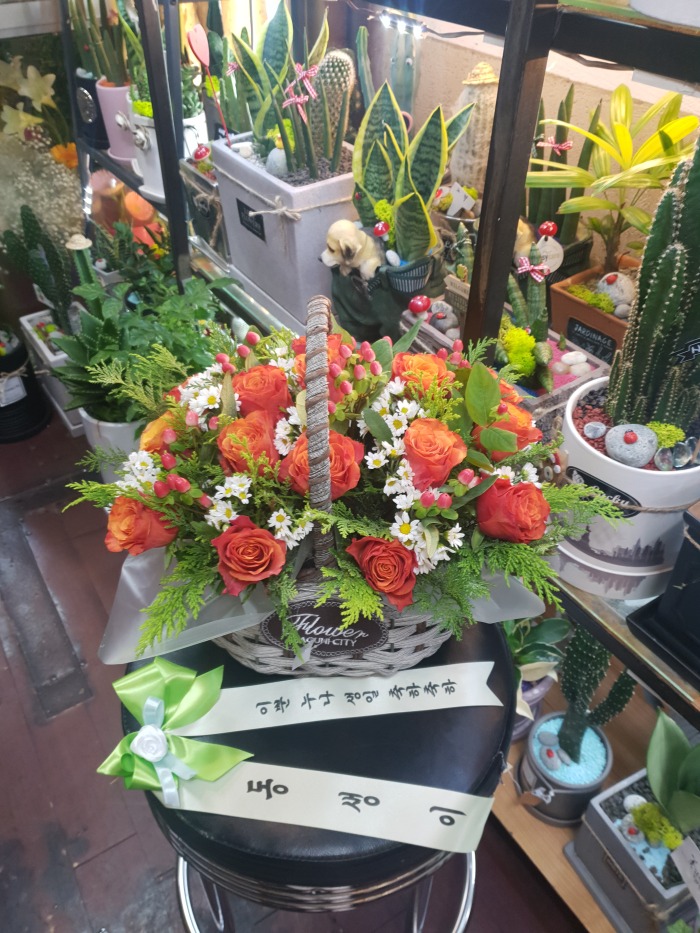 輺  ۰Դϴ