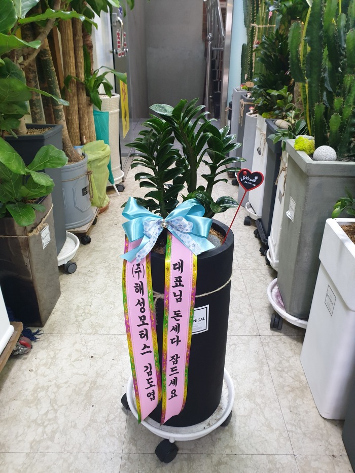 赵  ۰Դϴ