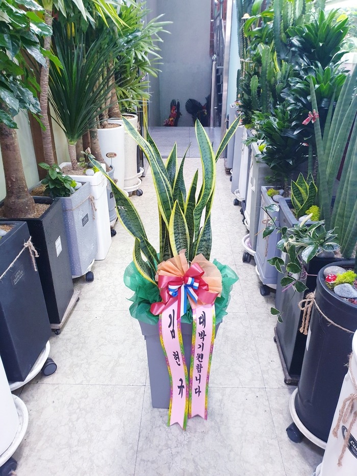   ۰Դϴ