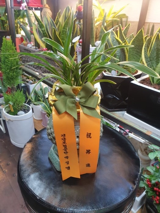 ڼ ۰Դϴ